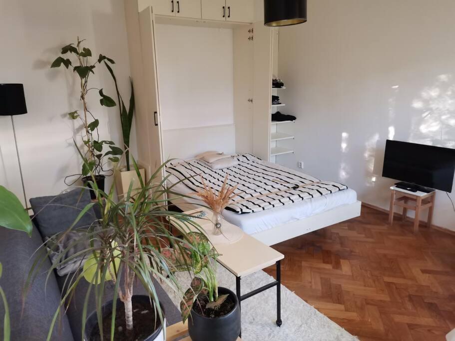 Cozy Studio In The City Centre Near Train Station Братислава Екстериор снимка